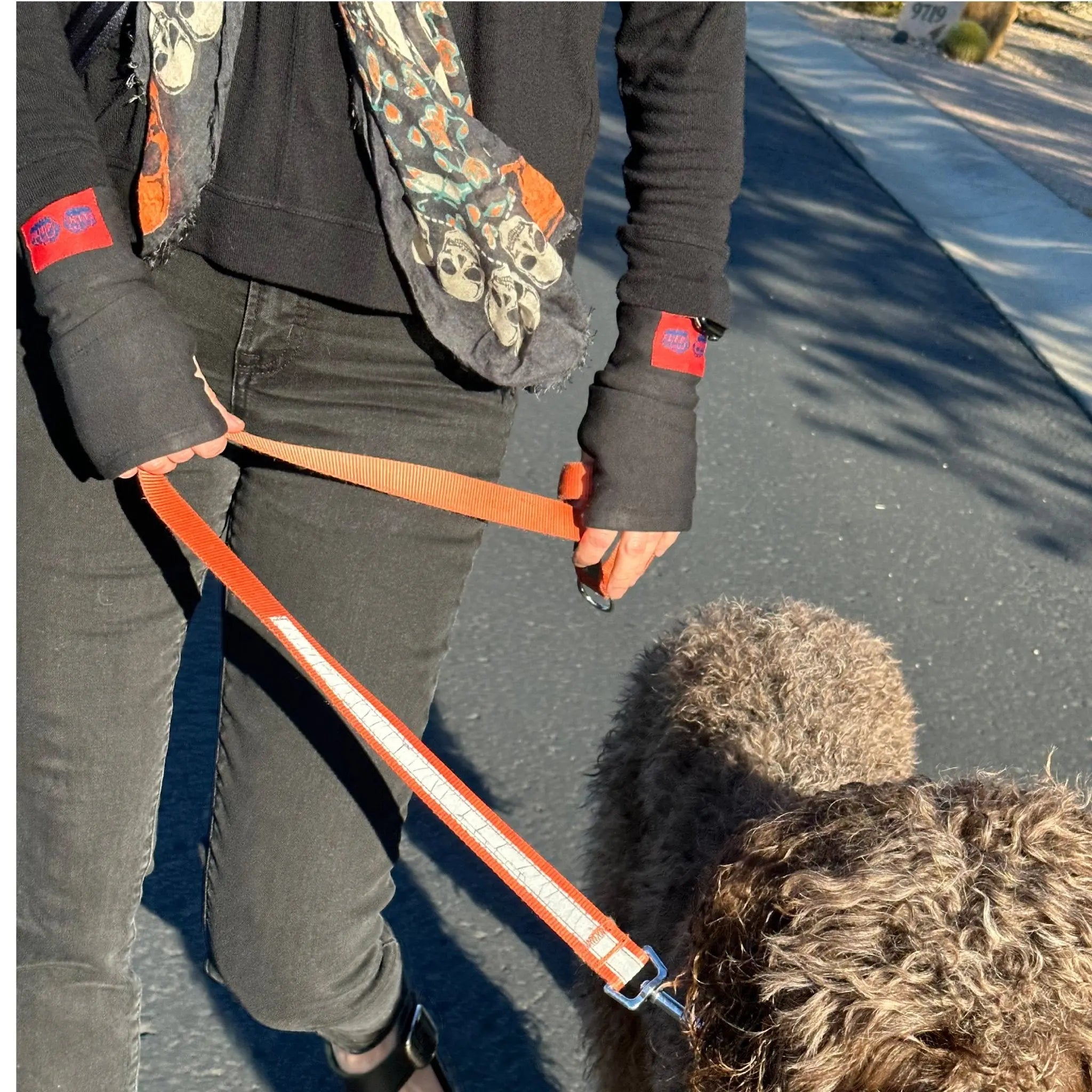 5 PACK: COLOR SPLASH FLIPMITS - FLIPMITS