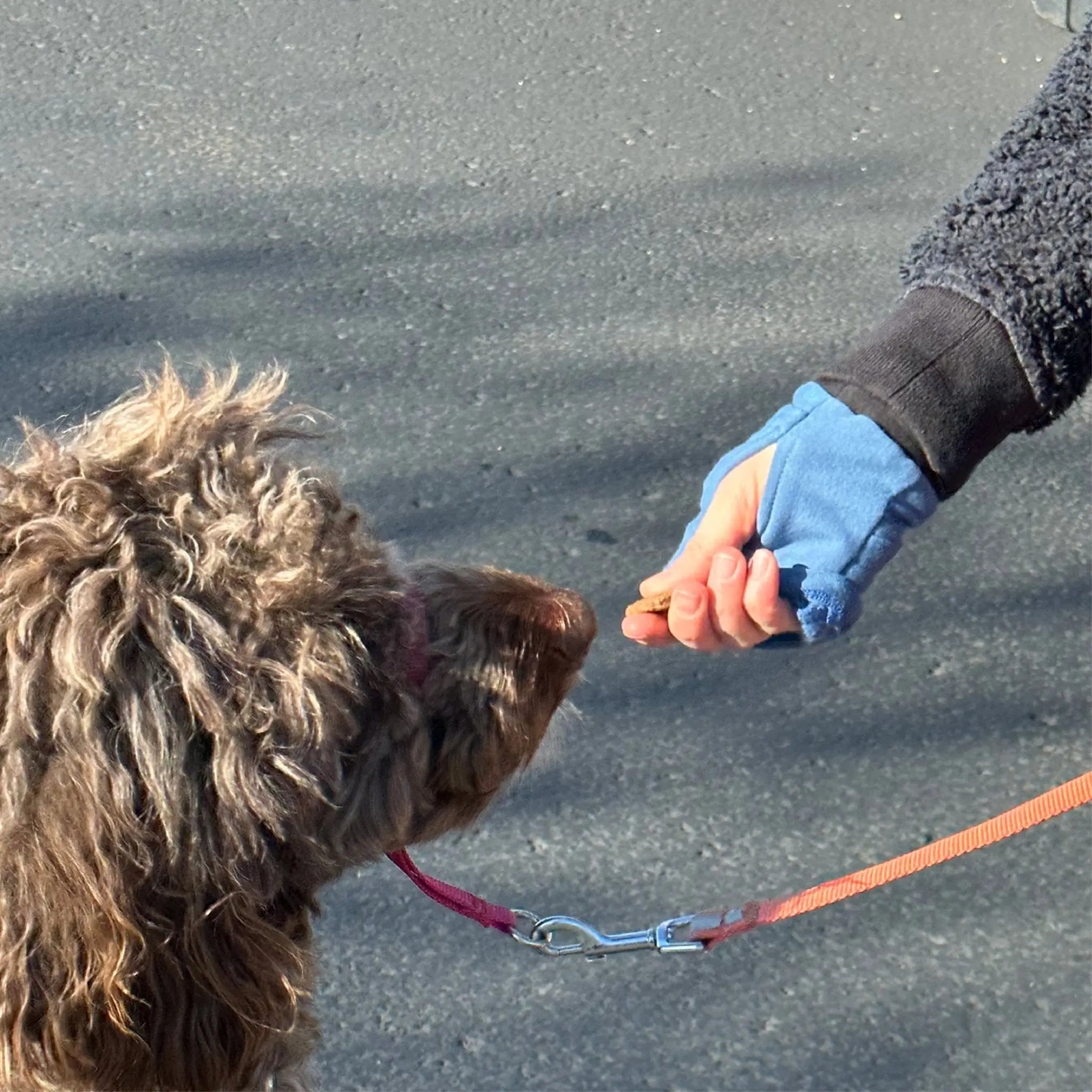 BLUEBEARD FLIPMITS - FLIPMITS