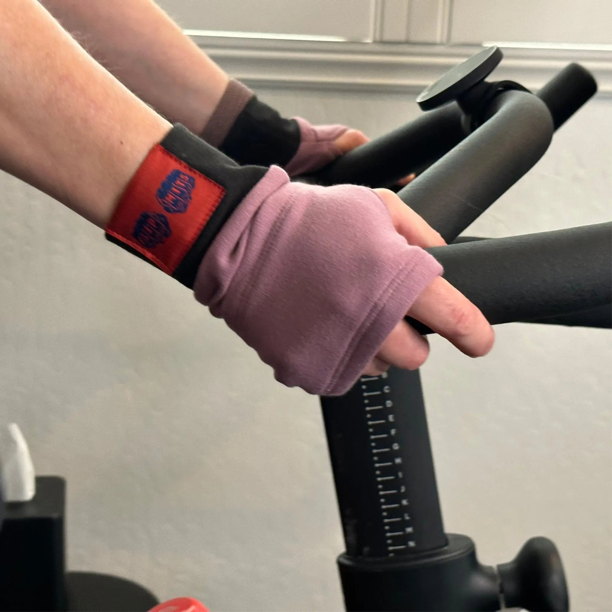 PURPLE ASTER FLIPMITS - FLIPMITS